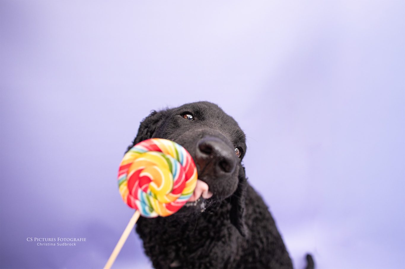 Lolly Shooting mit Curly Peppa